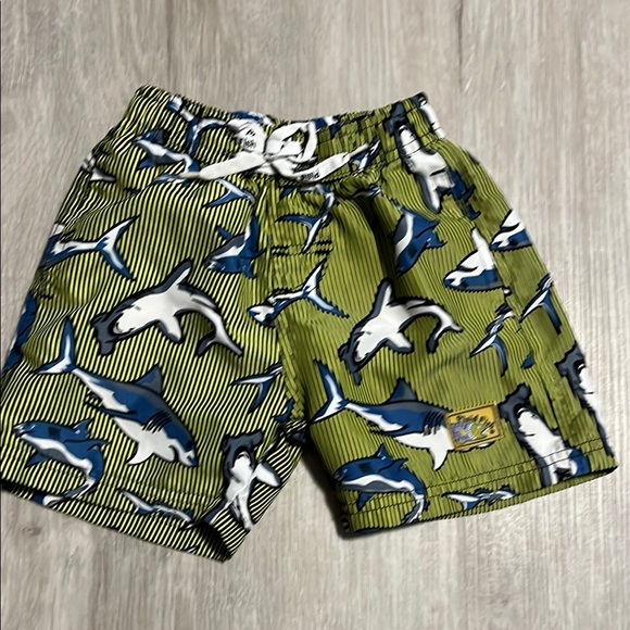 Plaid Fish Patterned Swim Shorts - Picture 1 of 2
